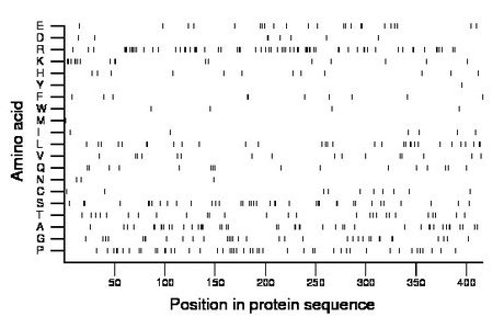 amino acid map