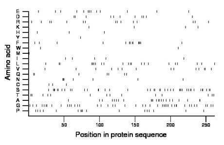 amino acid map