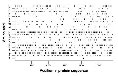 amino acid map