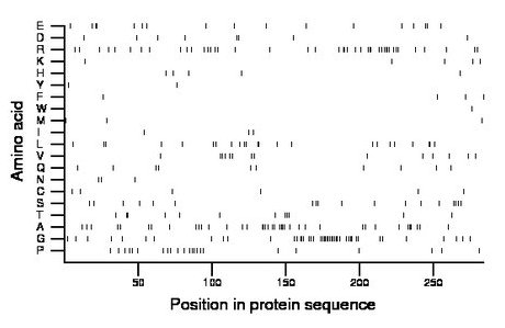 amino acid map