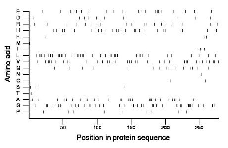 amino acid map