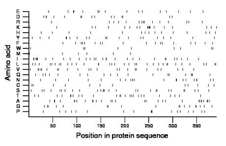 amino acid map