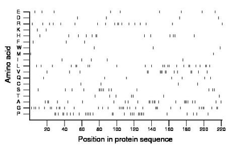 amino acid map