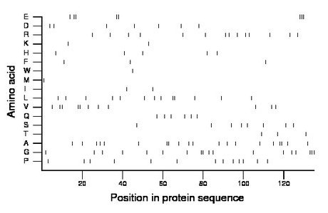 amino acid map