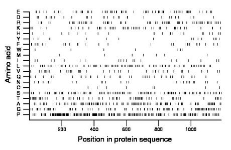 amino acid map