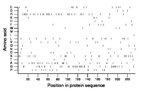 amino acid map