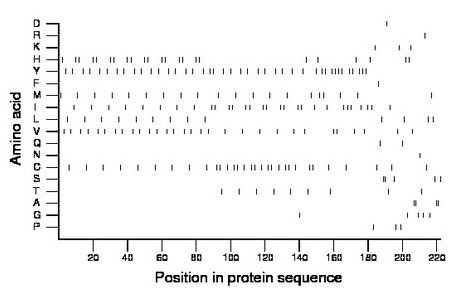 amino acid map