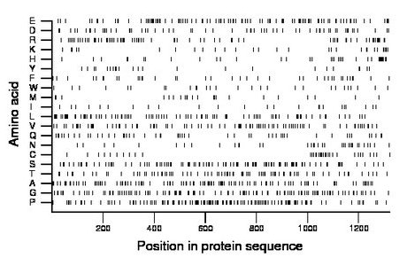 amino acid map