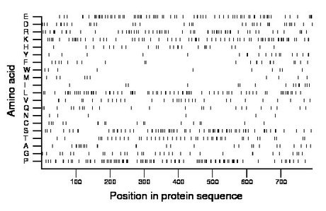 amino acid map