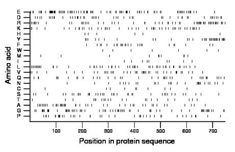 amino acid map