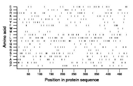 amino acid map