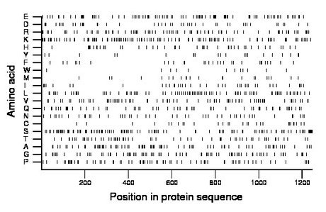 amino acid map