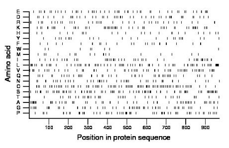 amino acid map