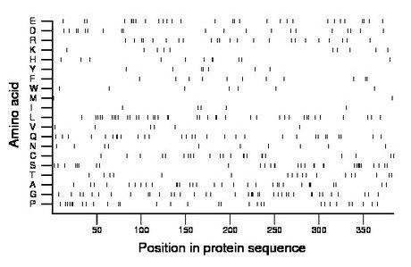 amino acid map