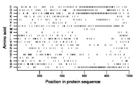 amino acid map