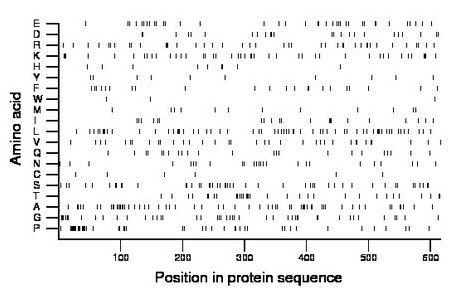 amino acid map