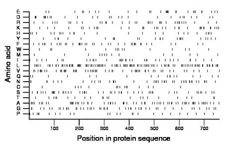 amino acid map