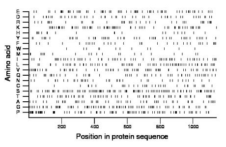 amino acid map