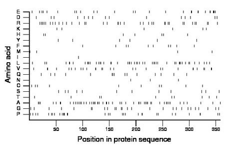 amino acid map