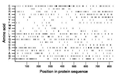 amino acid map