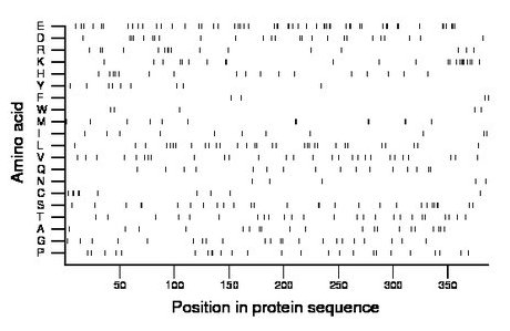 amino acid map