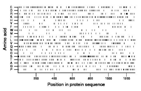 amino acid map