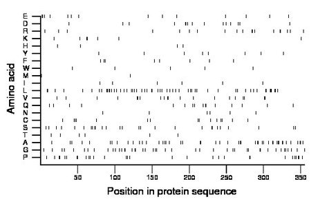 amino acid map