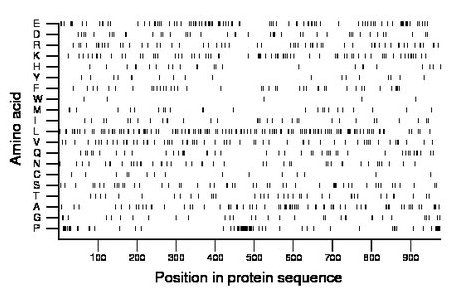 amino acid map