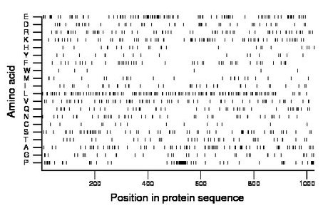 amino acid map