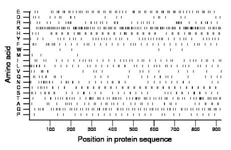 amino acid map