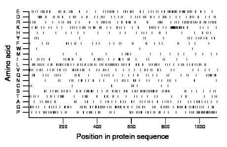 amino acid map