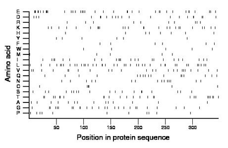 amino acid map