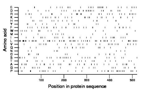 amino acid map