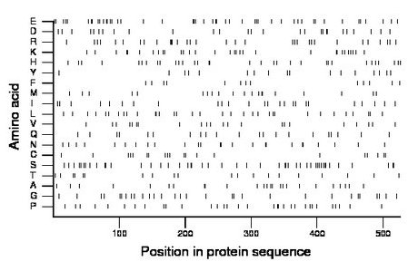 amino acid map