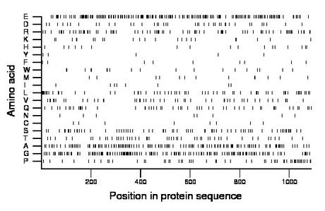 amino acid map