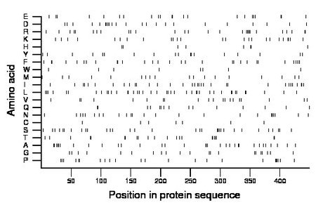 amino acid map