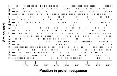 amino acid map