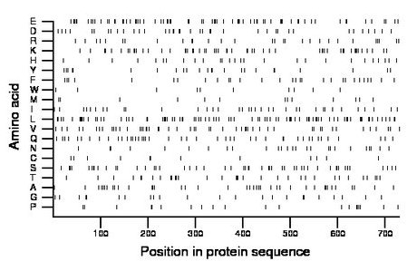 amino acid map