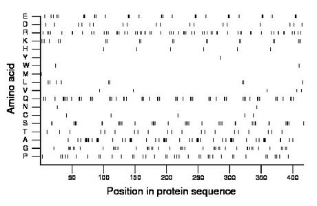 amino acid map