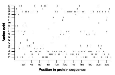 amino acid map