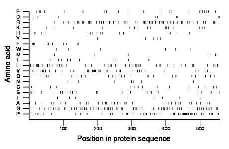 amino acid map