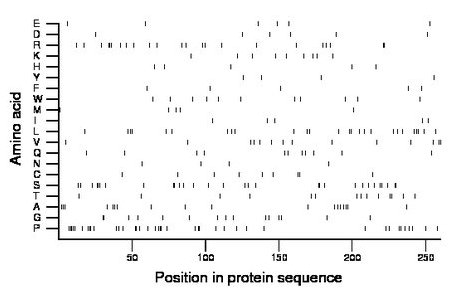 amino acid map