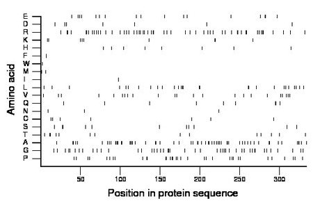 amino acid map