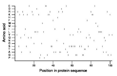 amino acid map