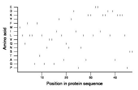 amino acid map