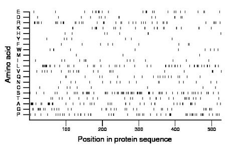 amino acid map