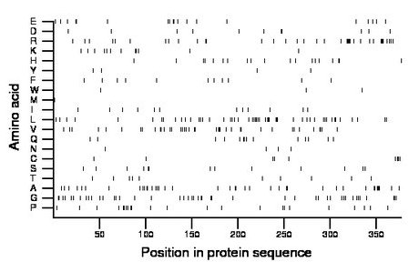 amino acid map