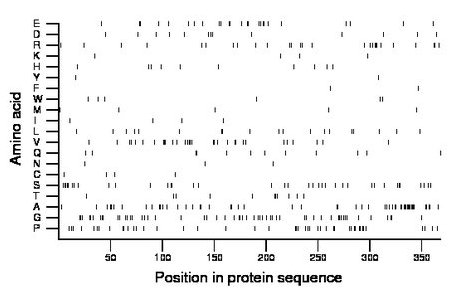 amino acid map