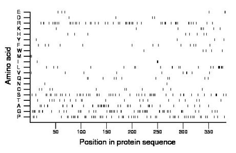 amino acid map