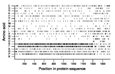 amino acid map